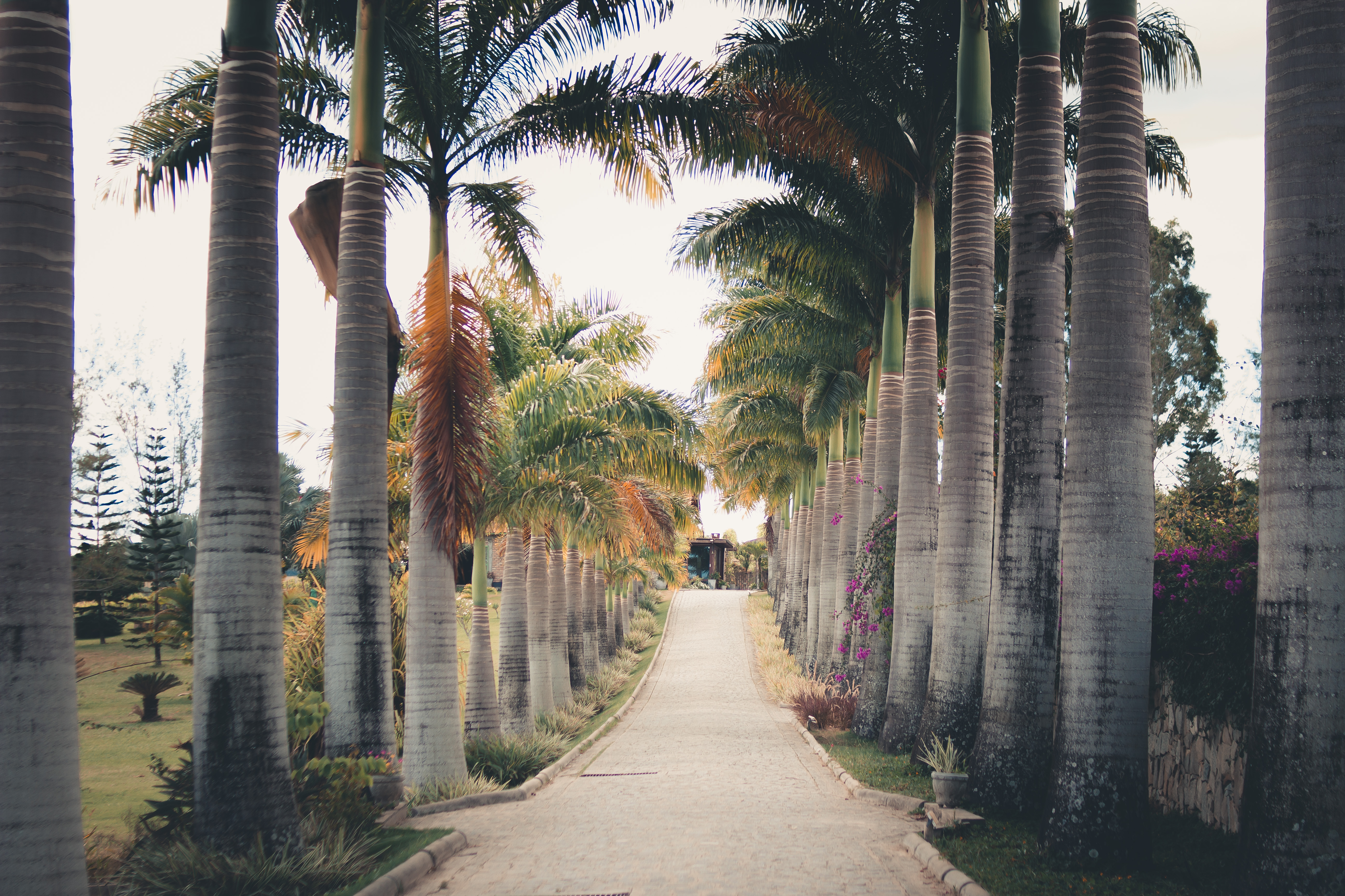 Vinicola Vale das Colinas